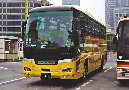 bus-g_j-busnewselega-gala_001001010.jpg