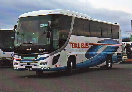 bus-g_j-busnewselega-gala_001001011.jpg