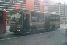 nerima200ka1380.jpg